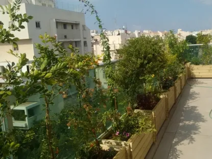 גג בכפס בתום הביצוע פנטהוס